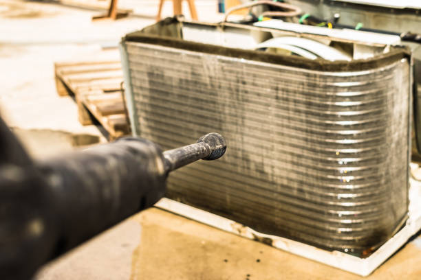 Best Air Duct Mold Removal  in Superior, AZ