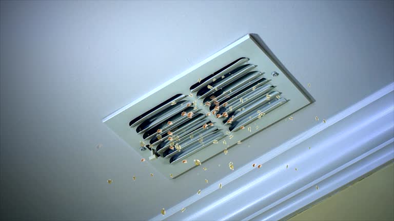 Best Home Air Vent Cleaning  in Superior, AZ