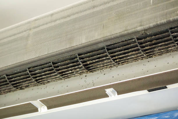 Best Commercial HVAC Duct Cleaning  in Superior, AZ