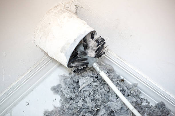 Best Air Duct Cleaning Near Me  in Superior, AZ